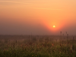 20090520-IMG_6921.jpg