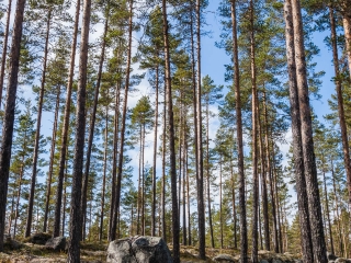 20100416-_1D_1635.jpg