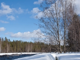 20100416-_1D_1677.jpg