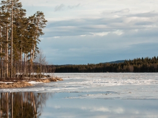 20100417-_MG_1724.jpg
