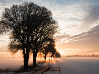 20110108L-_MG_0667.jpg