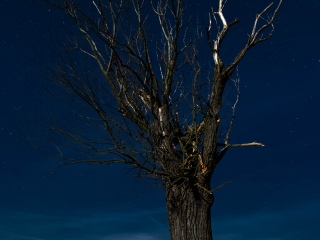 20150307L-_DX_1726.jpg