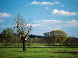 20150418L-_DX_2543.jpg